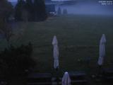 20 : 16