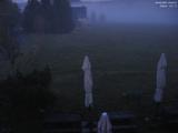 20 : 40