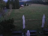 20 : 36
