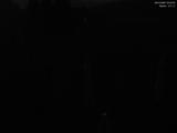 00 : 44