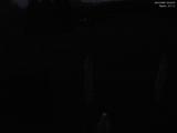 22 : 44