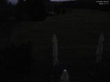 00 : 36