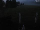 19 : 20