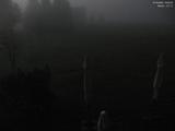 19 : 52