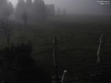 20 : 44