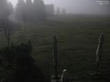 21 : 16