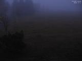 18 : 52