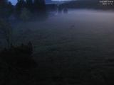 03 : 36