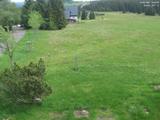 14 : 52