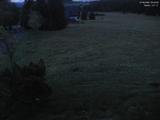 03 : 44