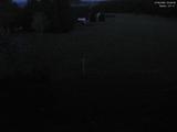 22 : 28