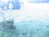 04 : 04