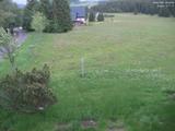 20 : 20