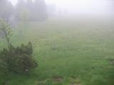 17 : 40