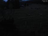 03 : 56