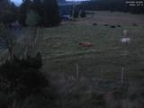 04 : 08