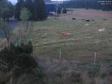 04 : 44