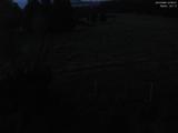 03 : 52