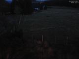 22 : 08