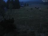 04 : 20