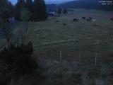 04 : 24