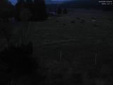 04 : 44