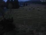 04 : 48