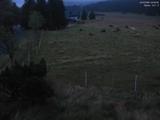 04 : 52