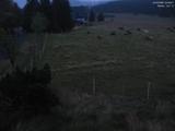 04 : 56