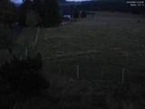 21 : 24