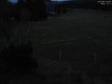 21 : 28