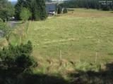 16 : 36