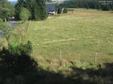 16 : 52