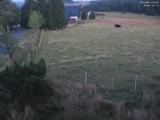 21 : 12
