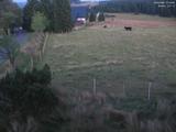 21 : 16
