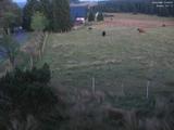 21 : 20
