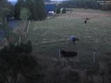 21 : 52