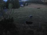 21 : 56