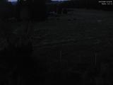 04 : 04