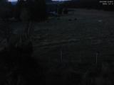04 : 08