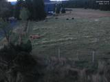 04 : 20