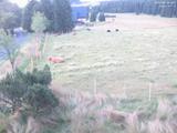 04 : 36