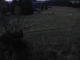 04 : 44