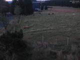 04 : 48