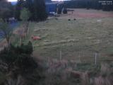 04 : 52