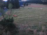 04 : 56