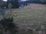 05 : 00