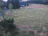 05 : 12