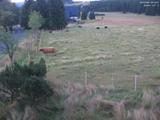 05 : 16