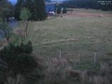21 : 16